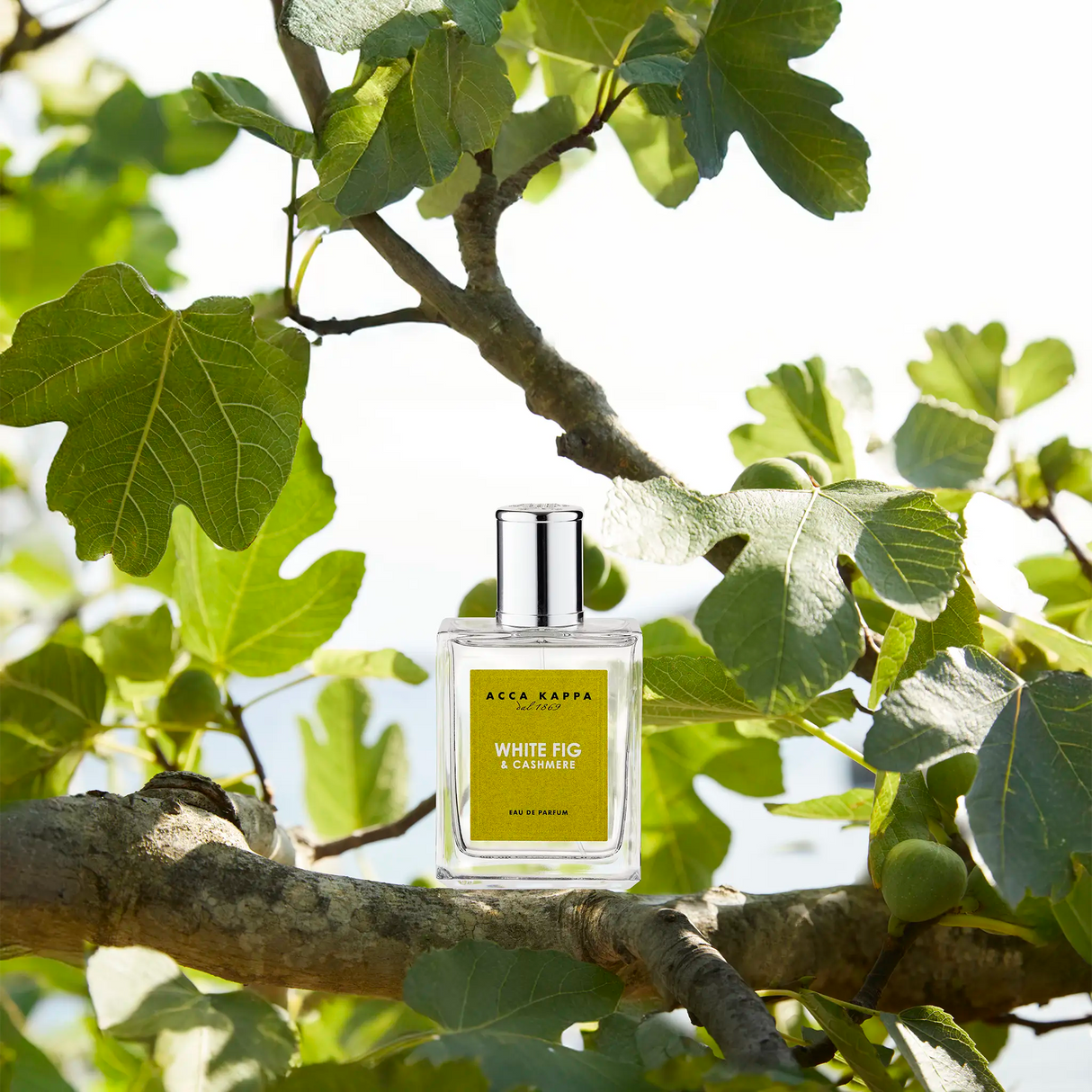 Acca Kappa White Fig & Cashmere Eau de Parfum