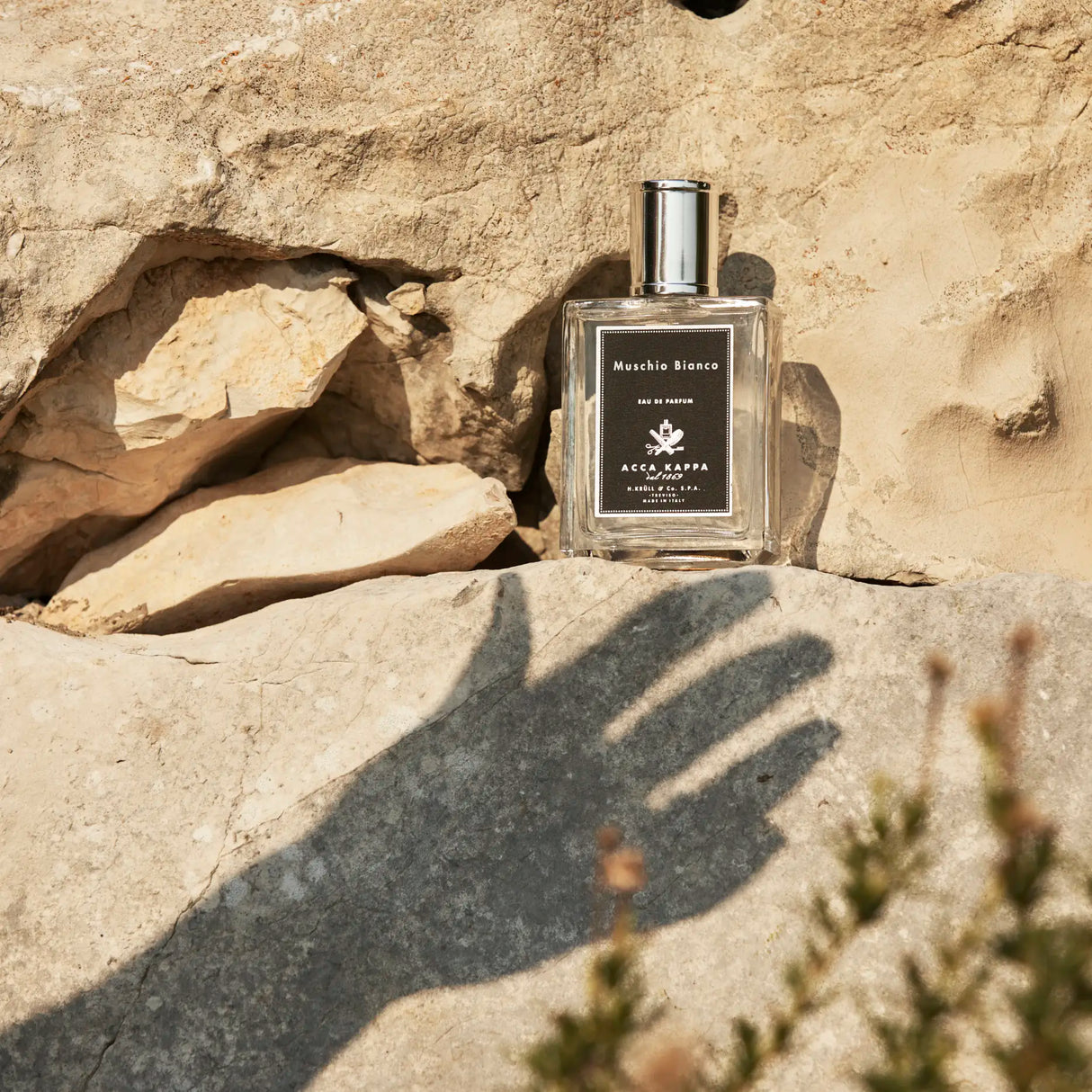 Acca Kappa White Moss Eau de Parfum