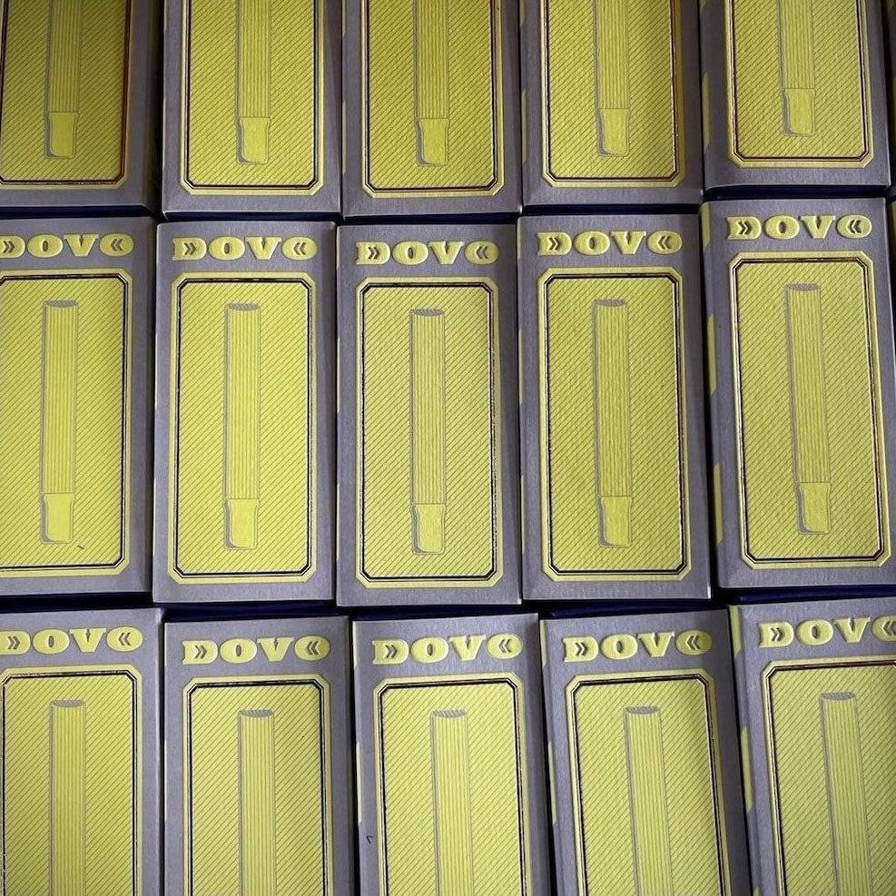 DOVO Silver Steel tannpirker