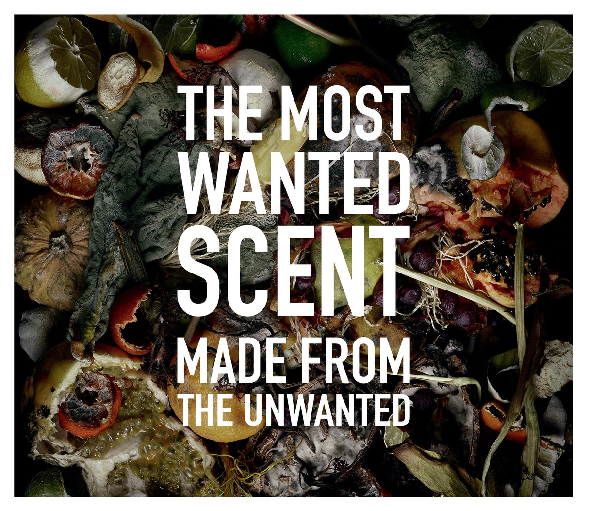 Etat Libre d'Orange Eau de Parfum Les Fleurs du Déchet - I am Trash