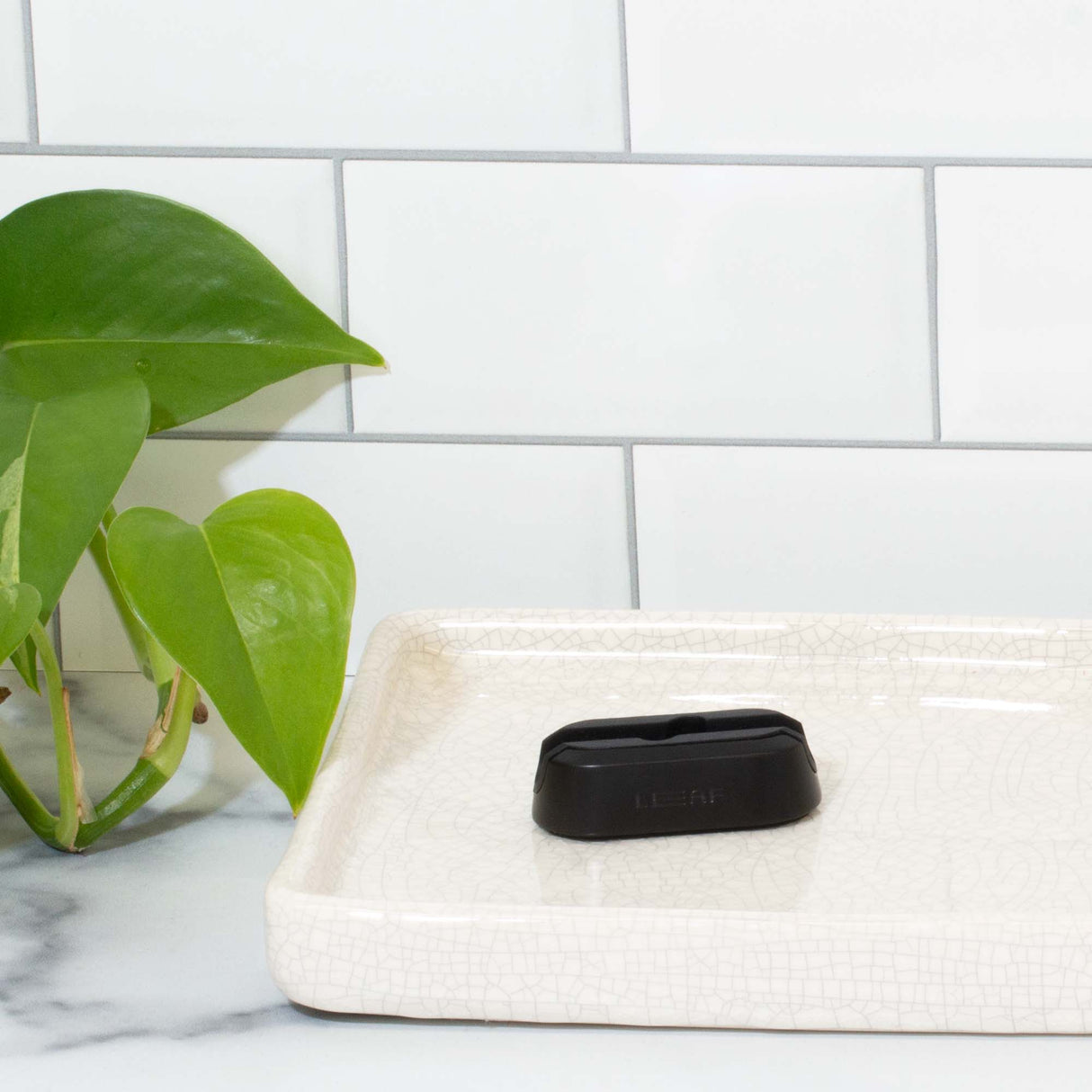Leaf Shave stativ til dermaplaner