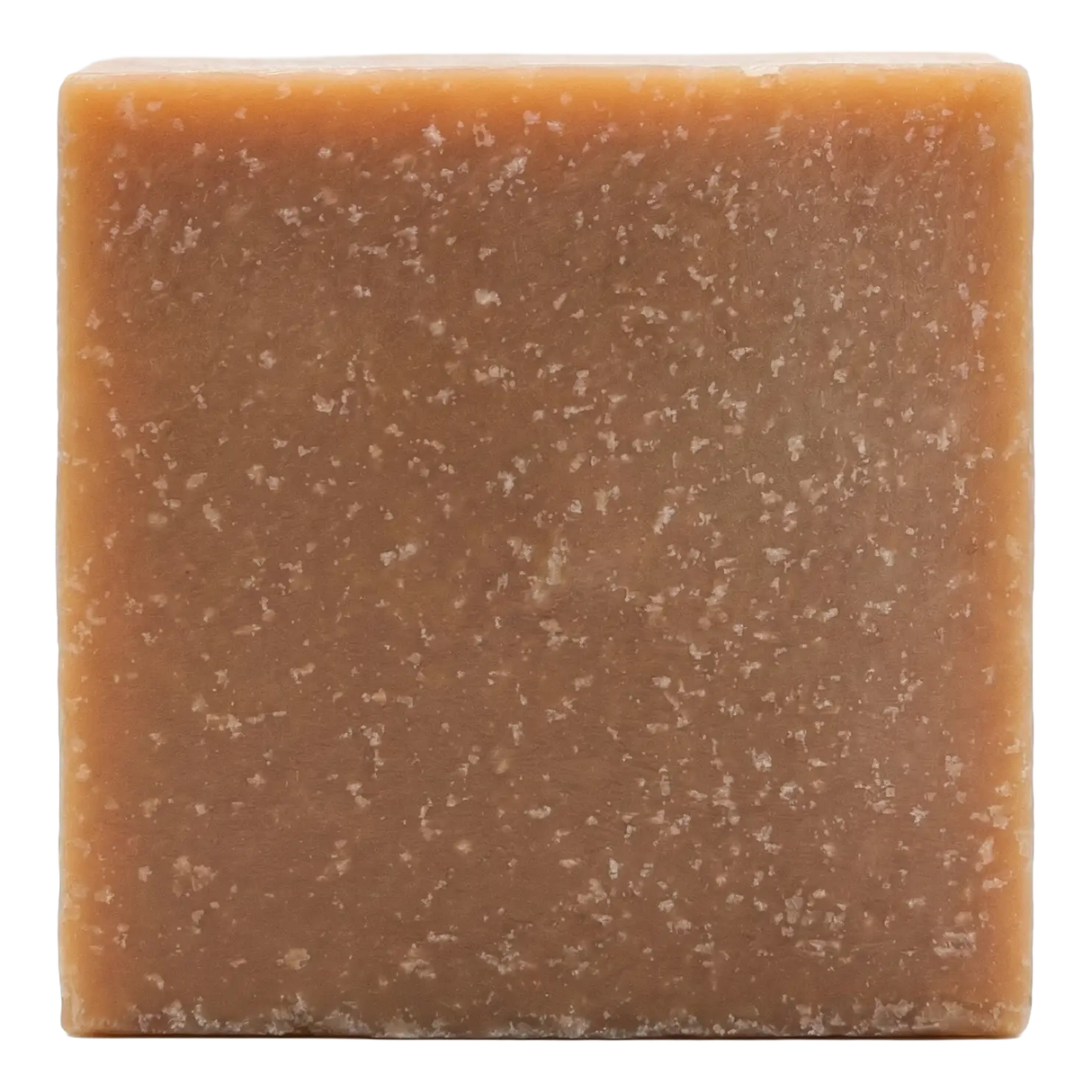 Stirling Soap Co. sjampo i fast form 