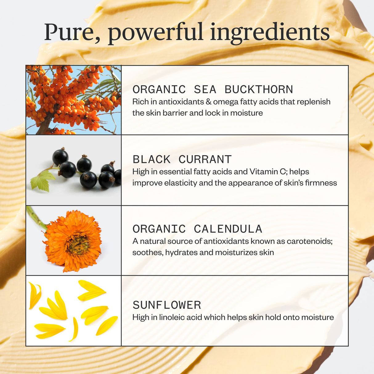 Ursa Major Golden Hour Recovery Cream 