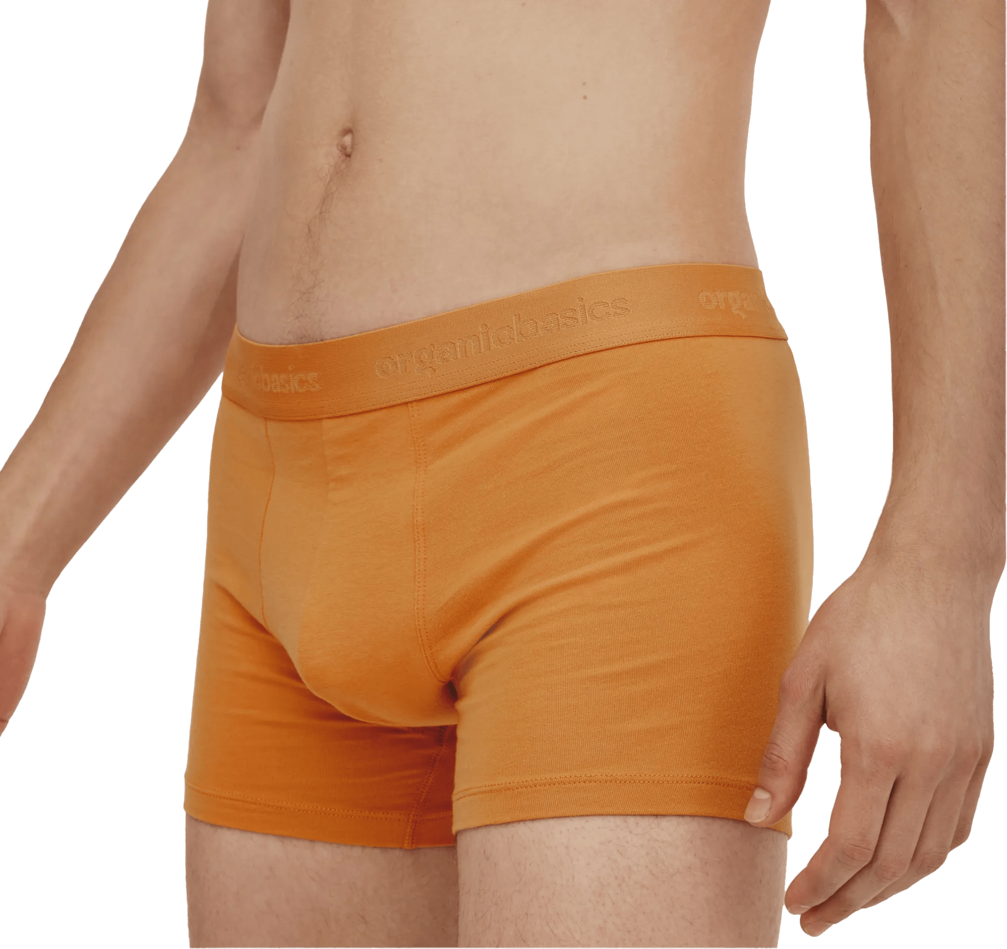 Organic Basics Cotton Stretch boxershorts 3-pakning Blå / Sjøgress / Sennepsgul S