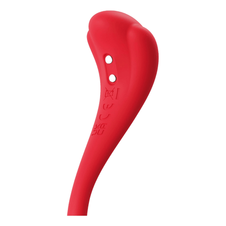 Svakom Phoenix Neo 2