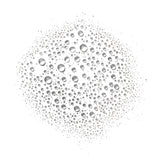 Ursa Major Essential Face Tonic